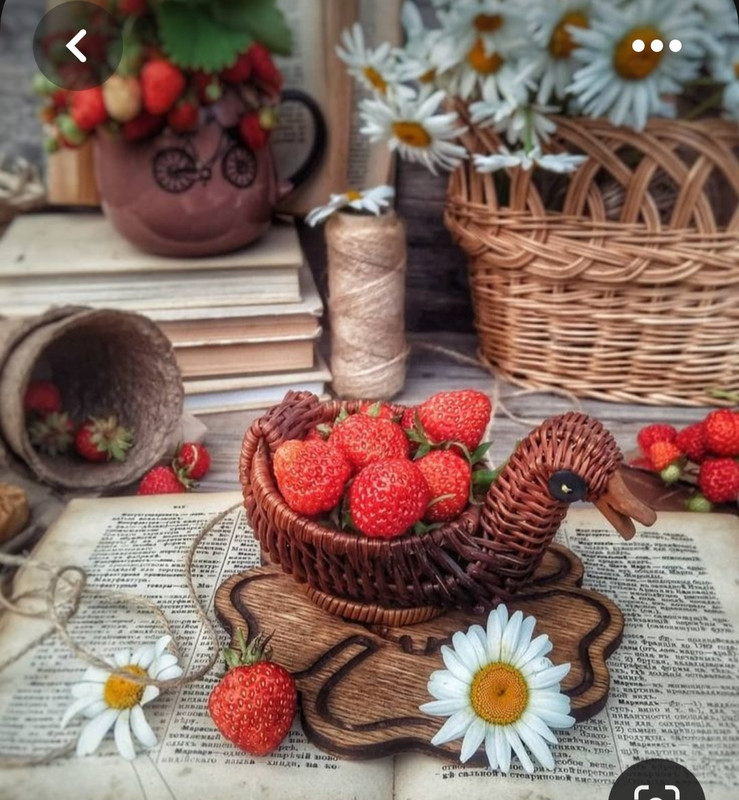 Screenshot_20230712_004900_Pinterest