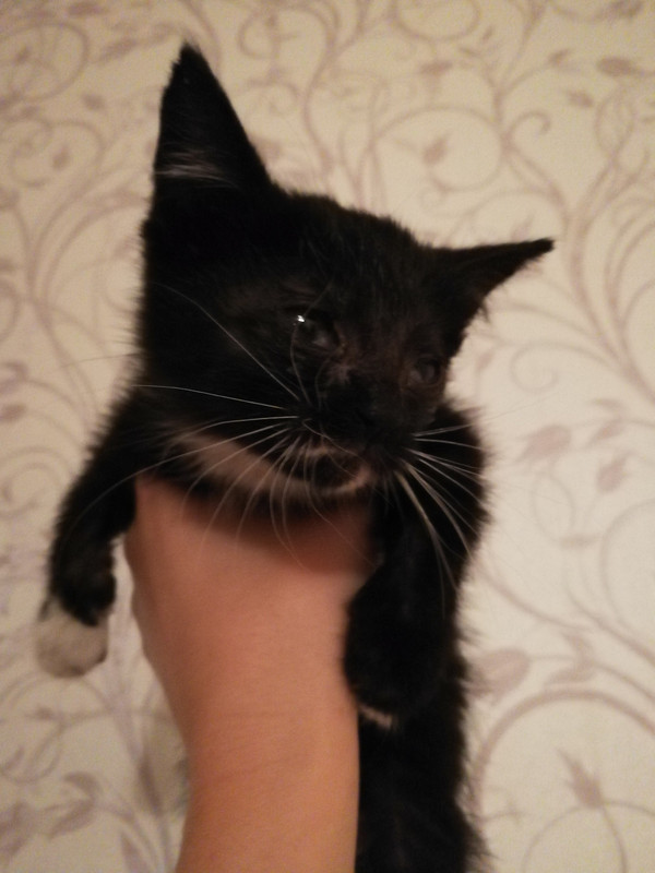 IMG_20181018_204859_resized_20181018_085239340