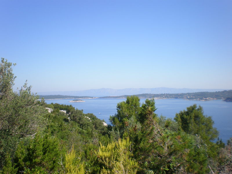 Picturevela luka 290