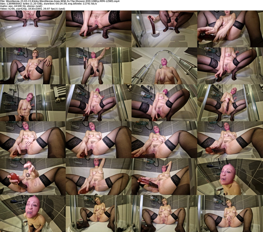 22112024223121screenshot