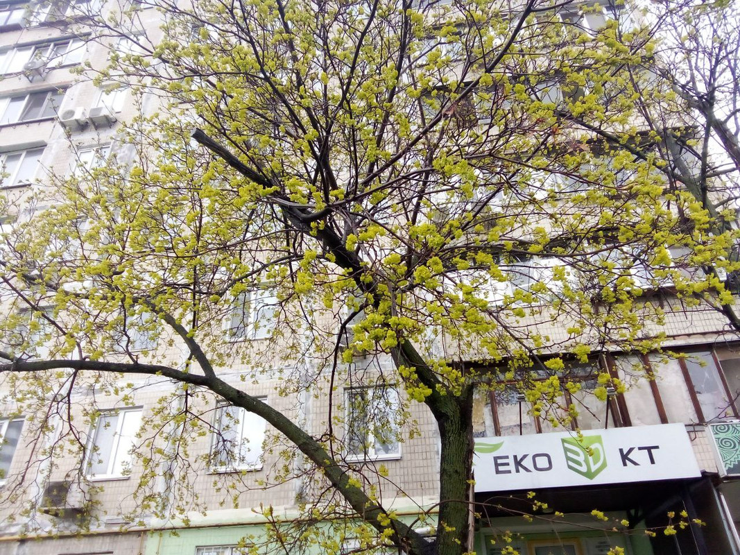 photo_2025-04-01 8.18.08 пп