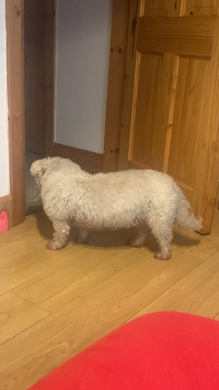 BC51BE51-FE16-47BE-9B94-58BB56F4D0C0