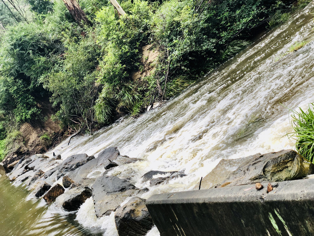 1-BB820-C7-B200-4-FBB-907-C-48343-A5-FF0