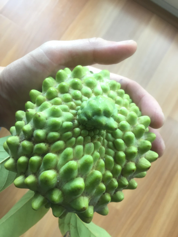 3C7F8FF6-1C52-4EF9-88BB-9BD5849F4FA1