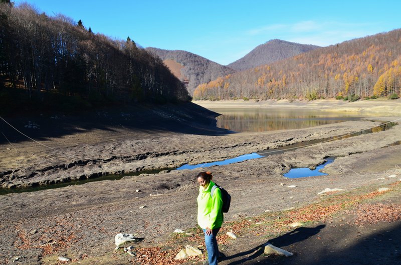 Navarra y sus pueblos-2015 - Blogs de España - Selva de Irati-14-11-2015 (52)