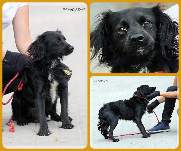 BeFunky-collage (21)