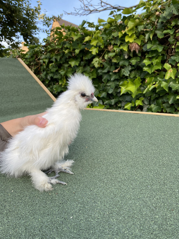 58951EF9-F7D4-4C89-93E9-1B83AD16131B