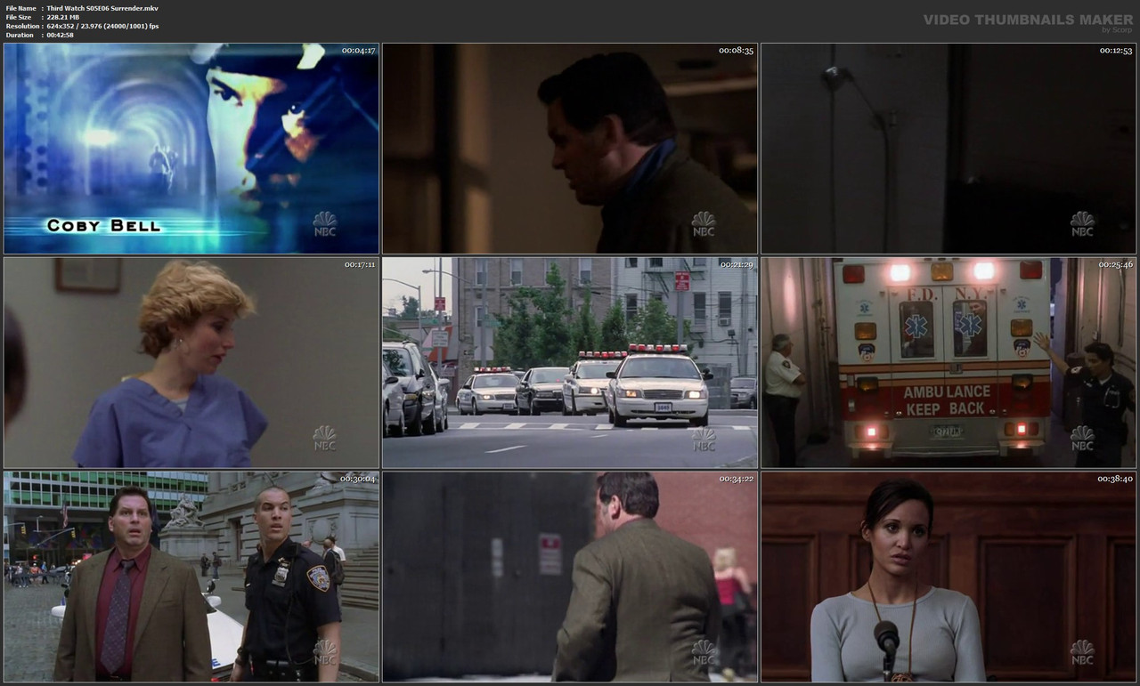 Third Watch S05E06 Surrender.mkv