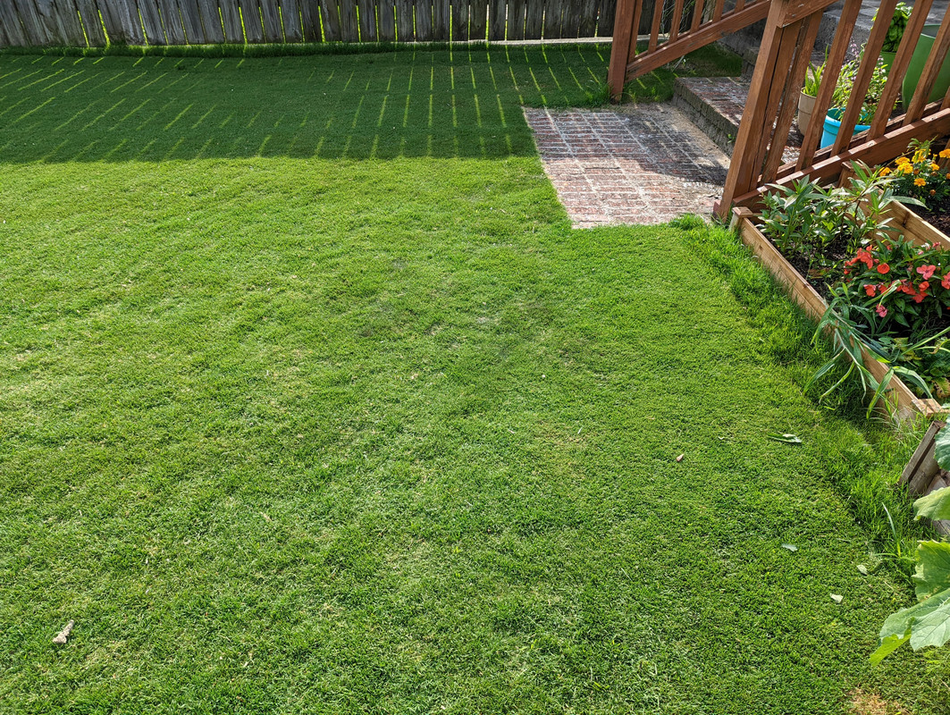 PXL_20220519_141527934