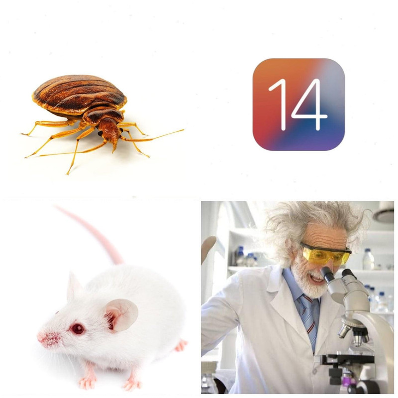 561C11E9-53BD-4D62-8C95-CF8AD9C32A2A