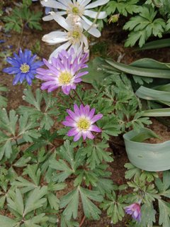 IMG_20240429_130620