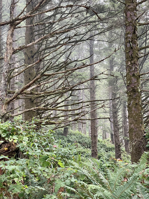 E5AE8F02-95F6-4B78-829C-CF10BA65125B