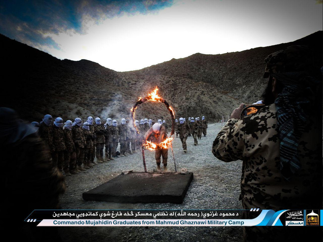 photo_2019-01-24_13-35-05