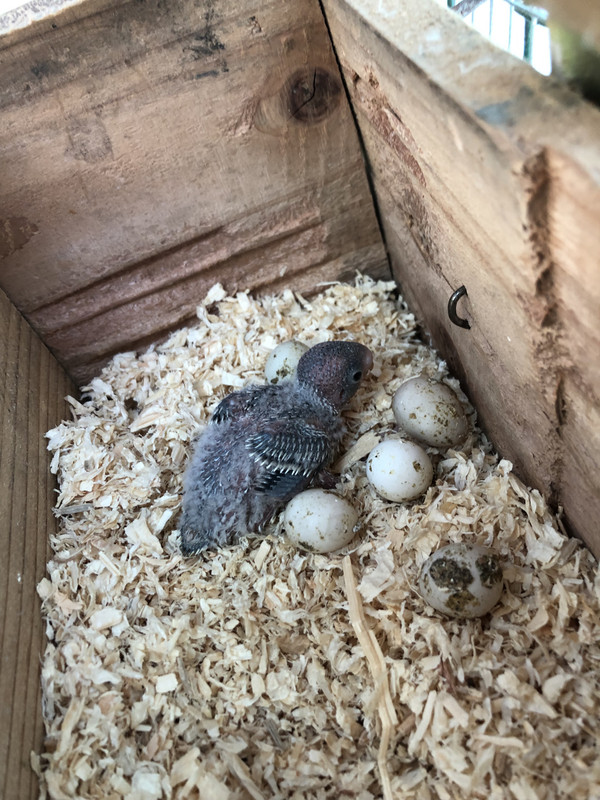 E6F64A37-77F2-41C4-949C-635B896A7E5A