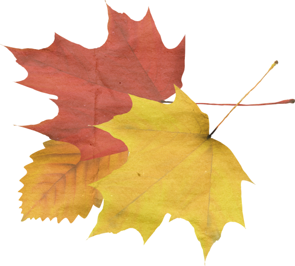 Indian Summer31