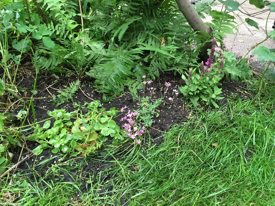 16773BEF-EA23-4624-94C7-AA047D9D181E