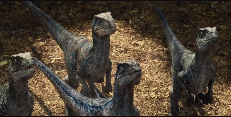 Jurassic World Raptor Squad Blue is the only one that really matters but their names from left to right are Charlie Echo Blue Delta