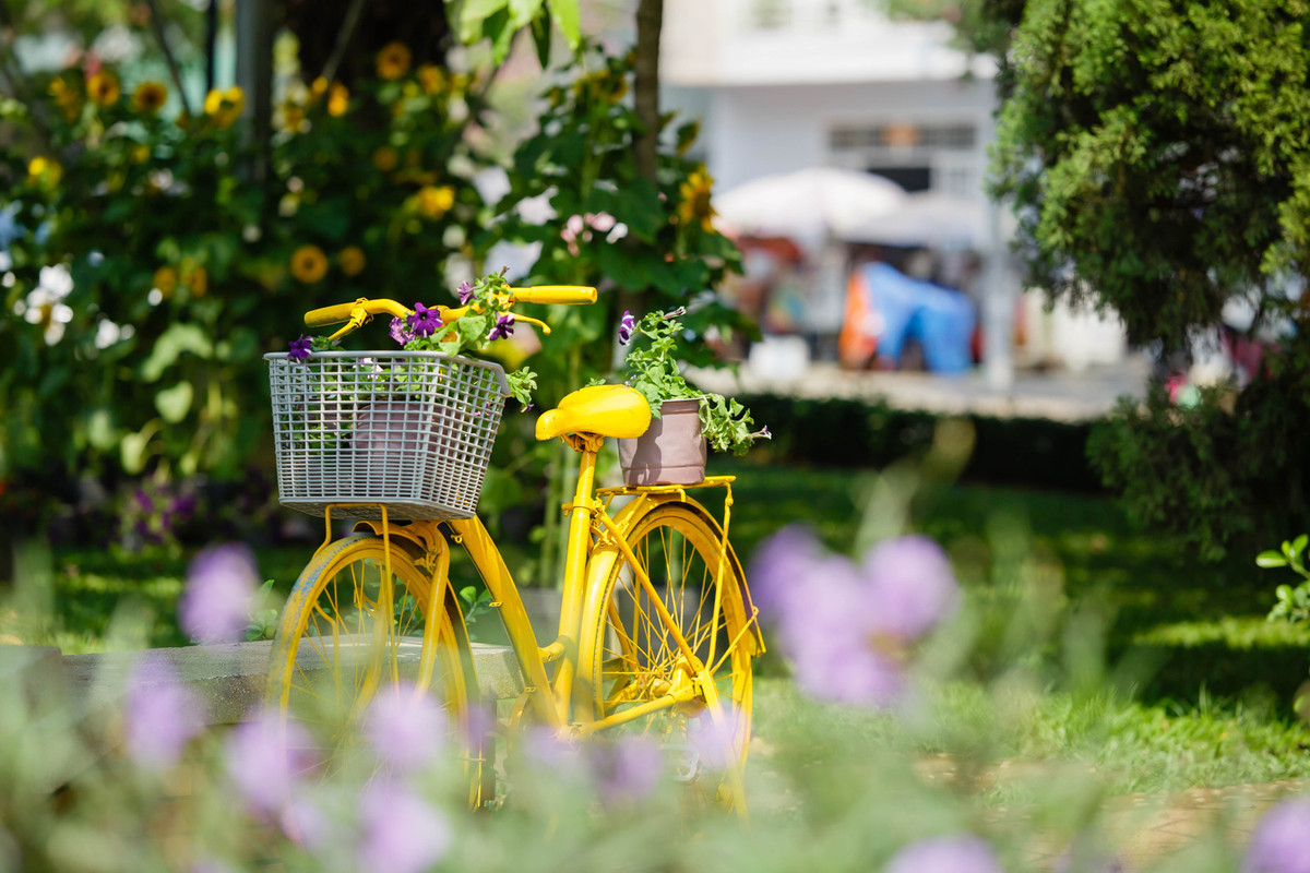 Yellow-Bicycle.jpg