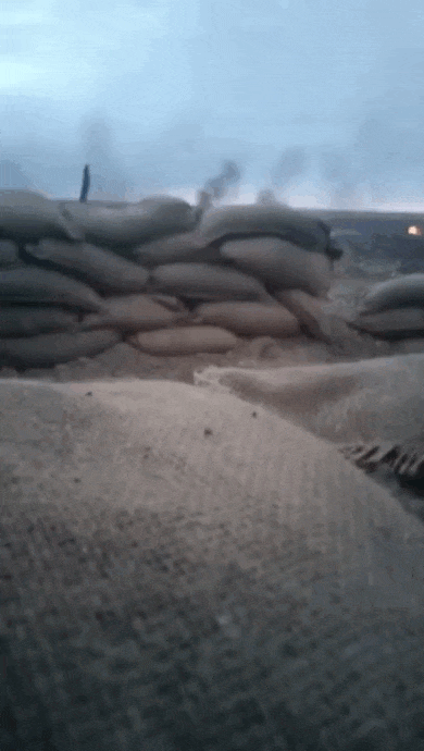https://i.postimg.cc/Z5JGm6TR/video-2026-08-15-06-46-46-(1).gif