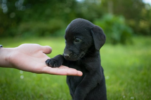 [Image: shutterstock-286021724-2.jpg]