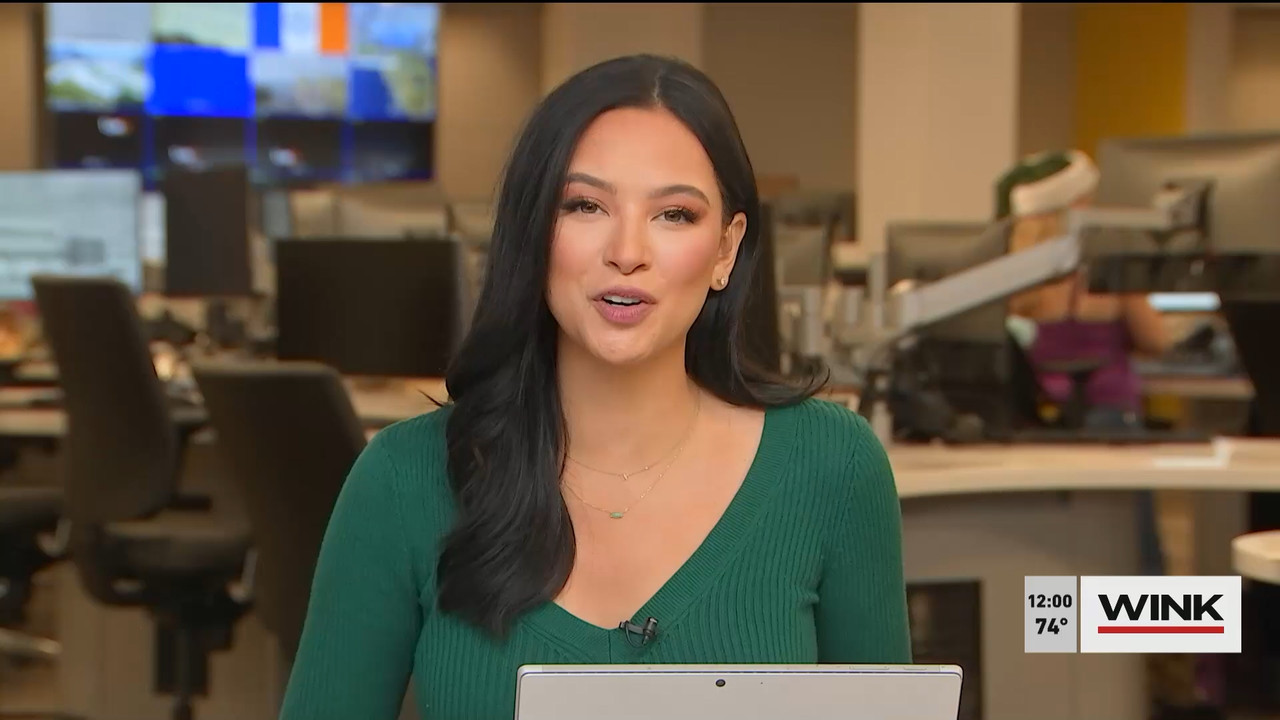 12.21 - 17.00.00 - The WINK Noon News  ᴺᵉʷ. Midday news update..ts_snapshot_06.48.931
