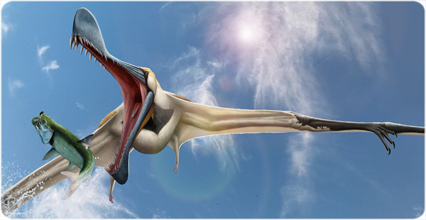 pterosaure_anhanguerid_web