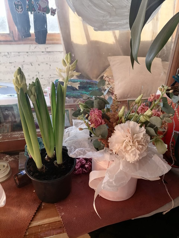 WhatsApp Image 2025-03-09 at 08.32.58 (1)