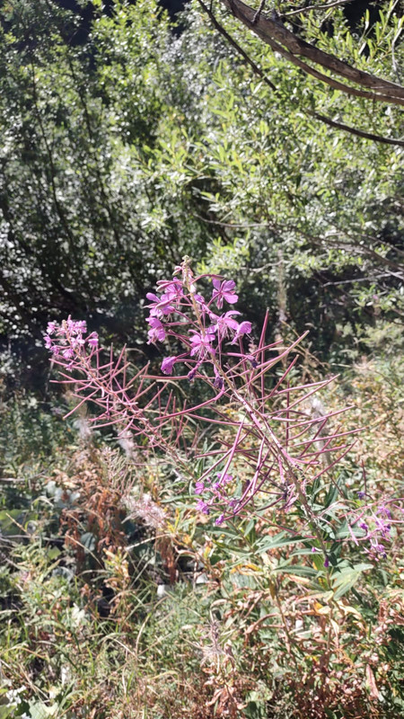 A6BF096E-81C3-49D6-BDB8-2CDE2EC7BA6A