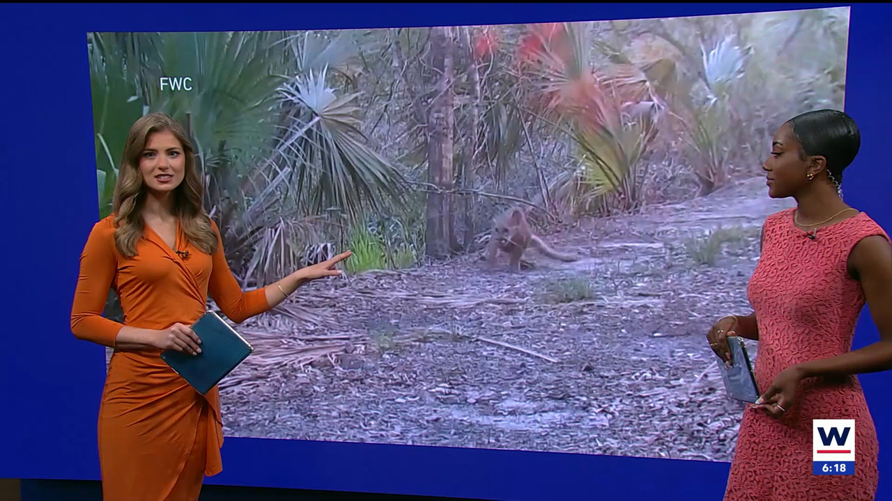 03.09 - 11.00.01 - WINK NEWS at 6 00am Saturday. Saturday morning new....ts_snapshot_00.21.41.546