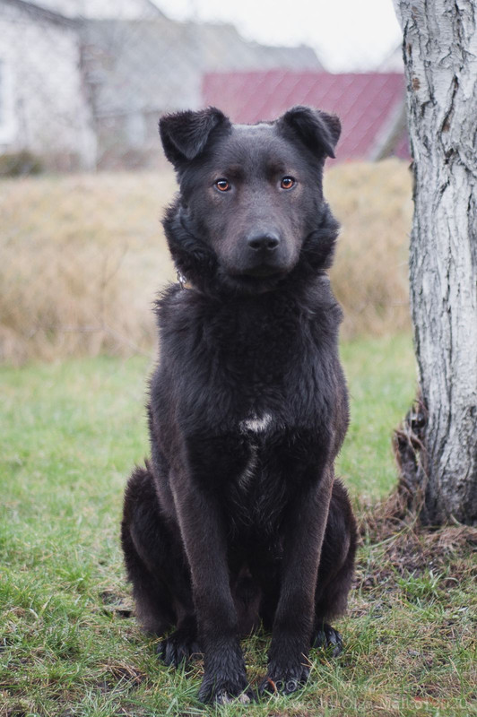 IMG-6a038294ad87ee584ad920286ef37248-V