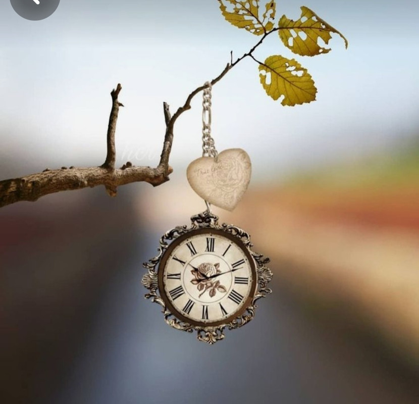 Screenshot_20240214_172320_Pinterest