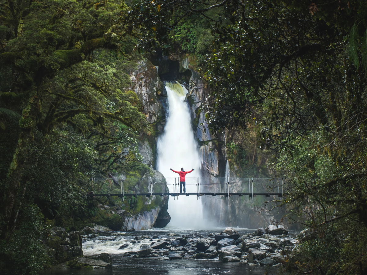Milford Experience Package | Shaara Deals 