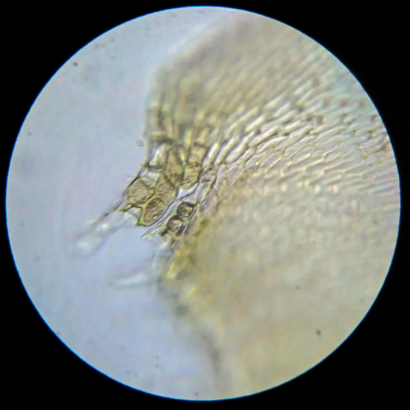 IMG 20250614 203925 HDR