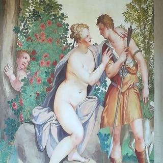 IMG_20191209_081228_446