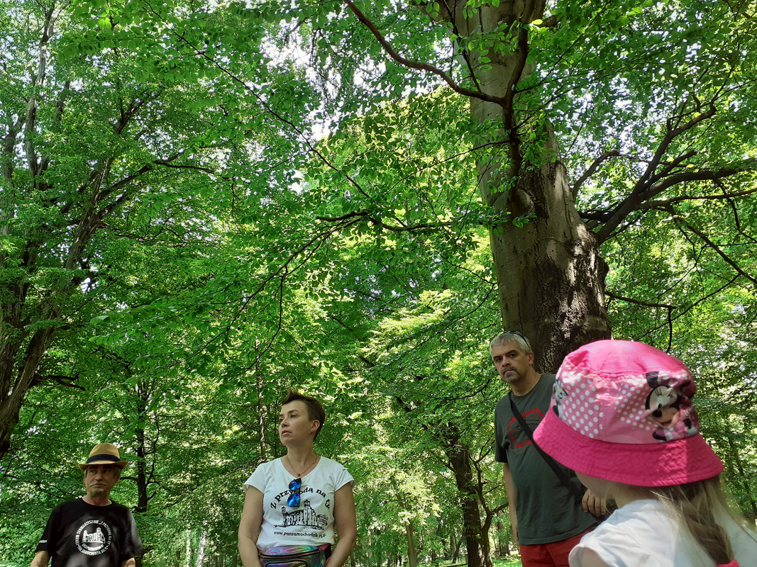 07.15 - 20200612_131142 (Winnetou)