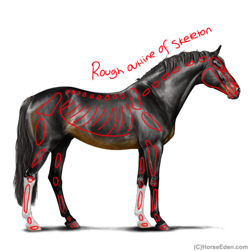Untitled1173-20250723120445.png