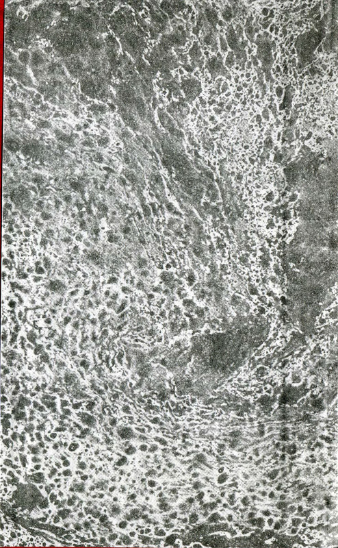 p0002
