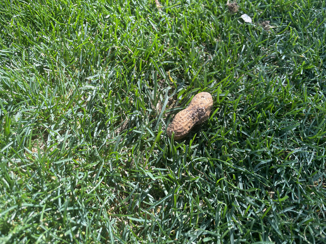 712AB58B-331F-4556-9ED3-280DFC30F4A3