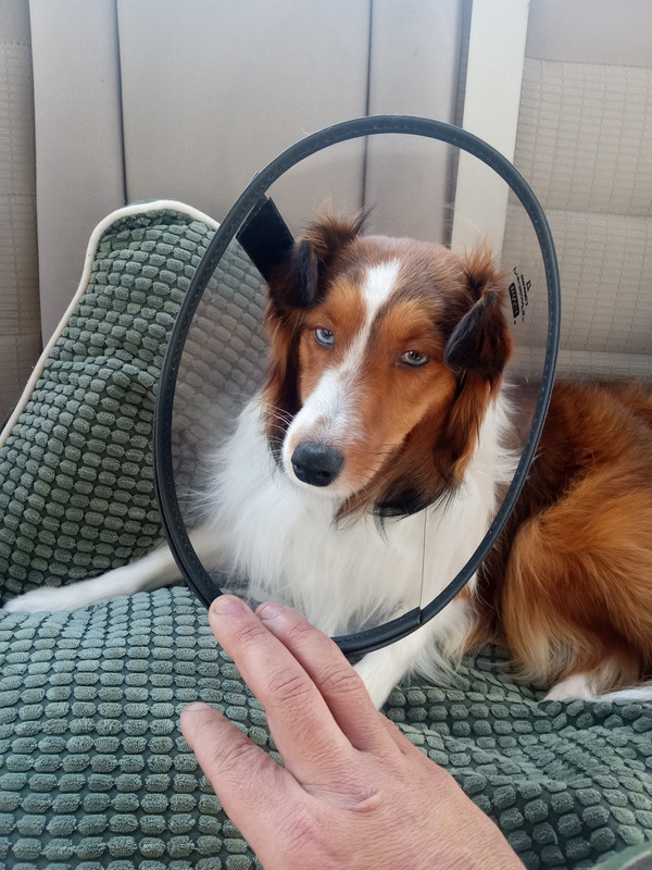 IMG_20231122_144858505