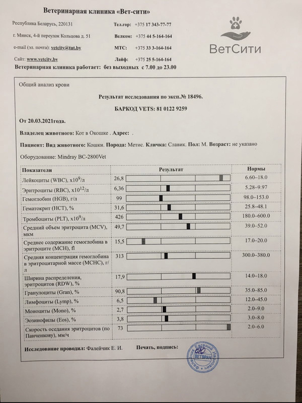 392734B5-3C19-4265-AF3B-77D3B47DD741