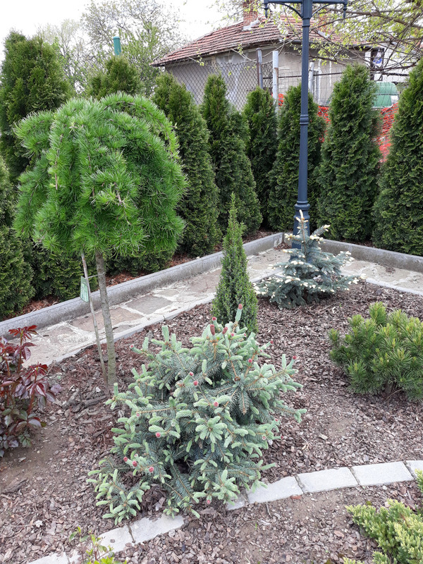 20190508_142745