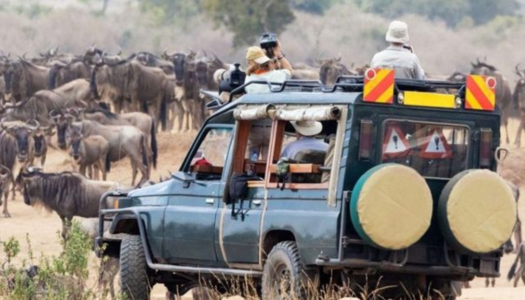 Maasai Mara safari package from Nairobi in Kenya