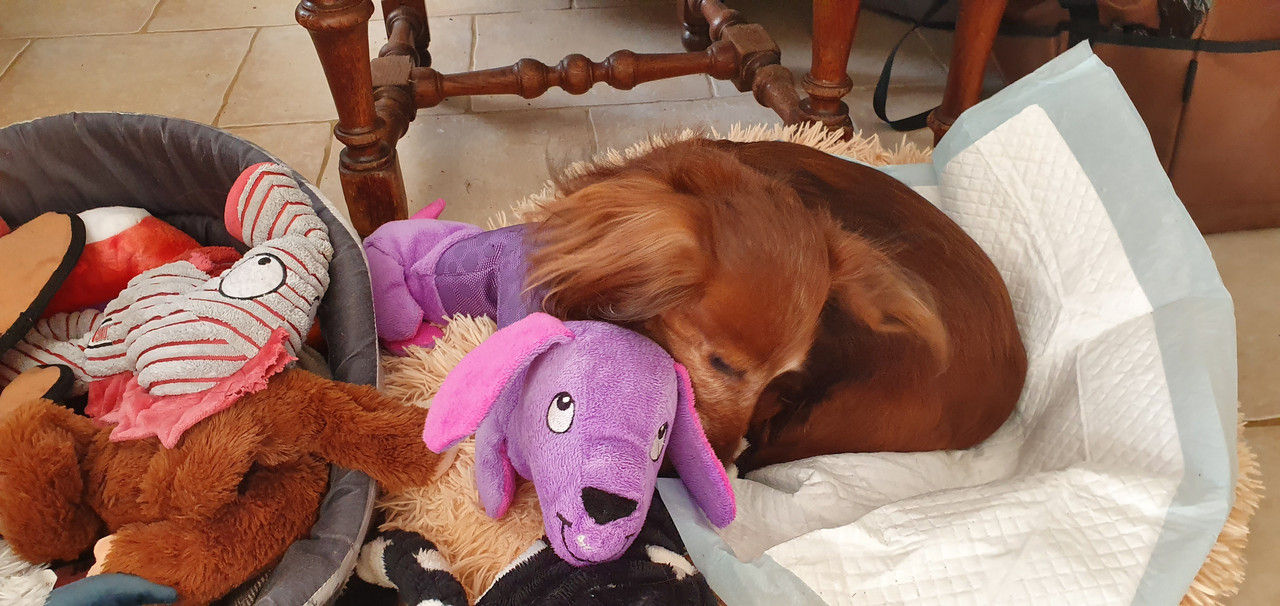 [Image: 20230118-113822.jpg]