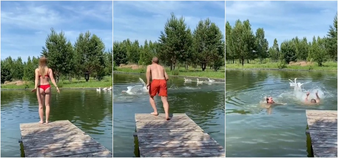 Агрессивные гуси помешали девушке насладиться водными процедурами