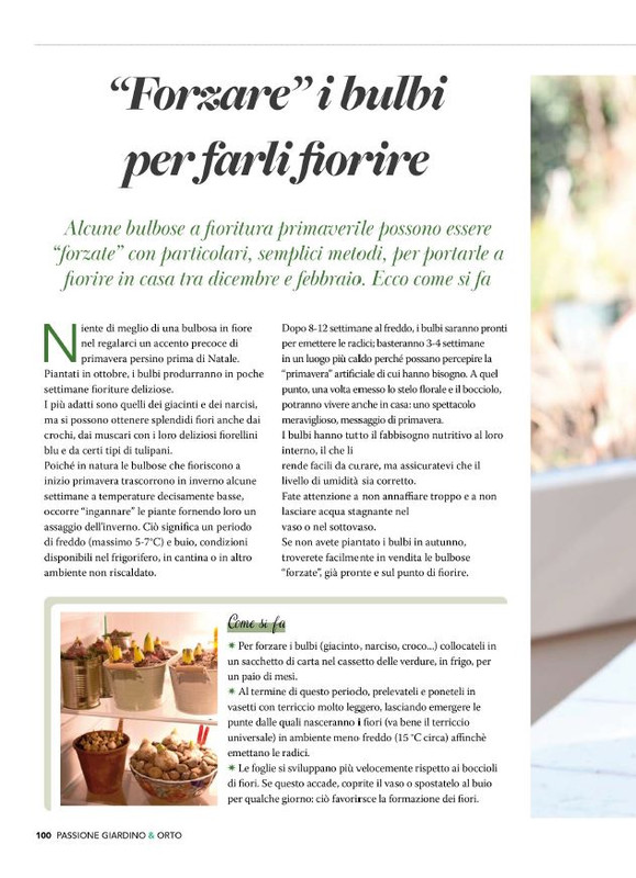 Pass Giar e Orto Spec Natale 2025 (7)