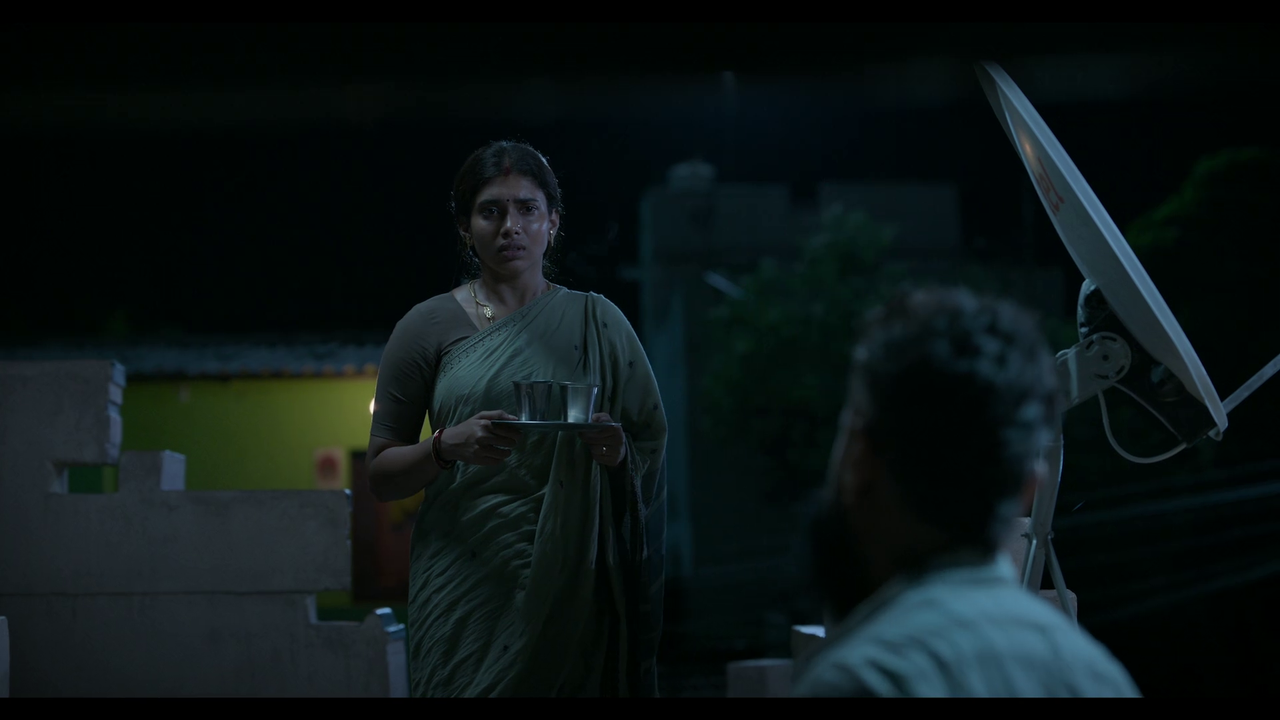 vlcsnap-2025-04-24-21h02m58s665