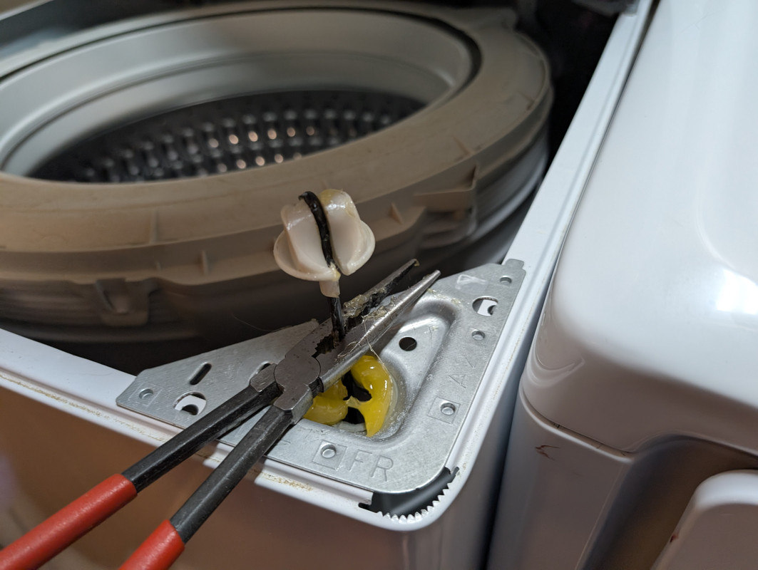 PXL 20251023 173010648