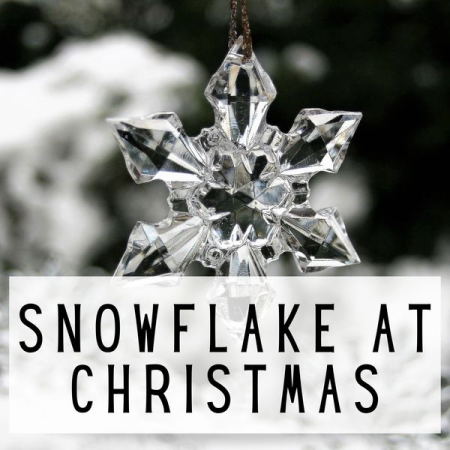 VA - Snowflake at Christmas (2021)