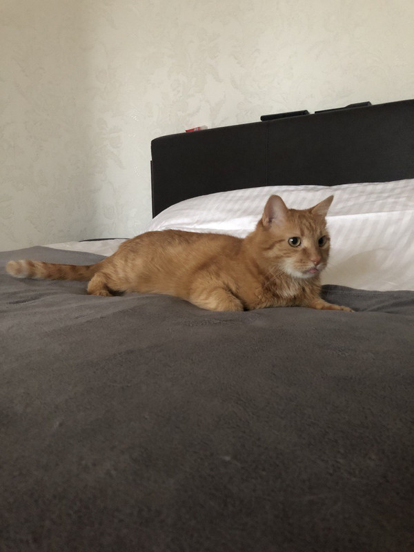 EC9681E1-0255-4D50-BC94-6AF90880EDAD