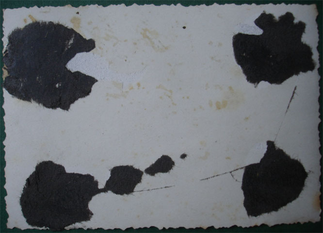 Y4-2